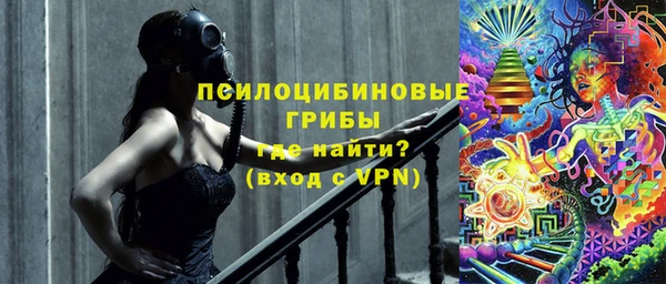 spice Аркадак