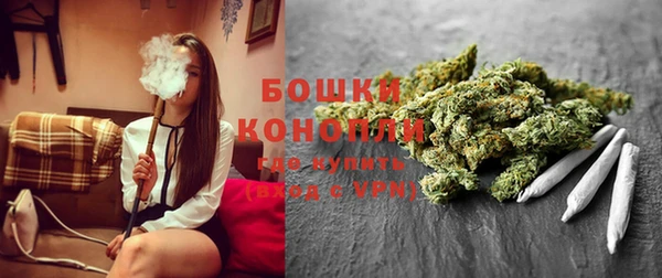 spice Аркадак