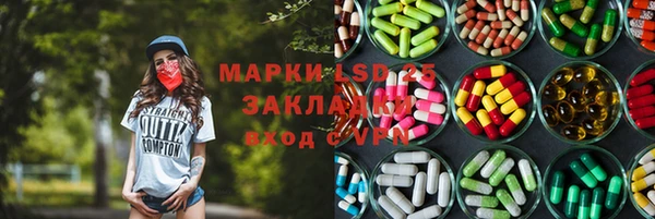 spice Аркадак