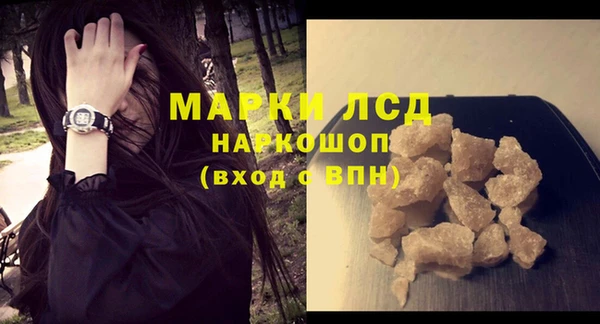 spice Аркадак
